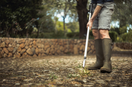 Walka z chwastami - jakie sprzęty ułatwią nielubianą pracę